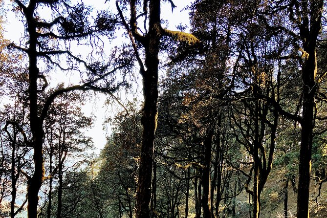 Experiential Expeditions to Himachal Jibhi and Tirthan Valley - Experience Details