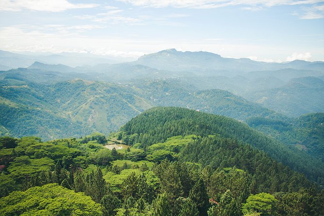 Explore Ambuluwawa Biodiversity Complex From Kandy - Cancellation Policy