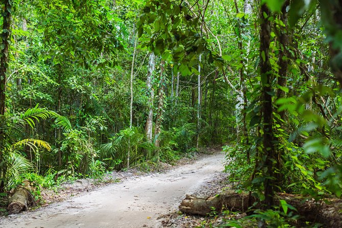 Explore North of Pemba Island (Flying Fox, Ngezi Forest and Vumawimbi Beach) - Booking and Pricing Information