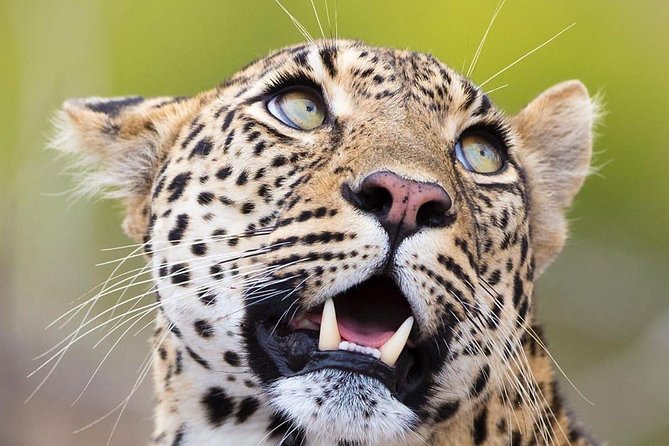 Explore the Wonders of Amboseli: 3-Day Safari Tour From Nairobi - Accommodation Details
