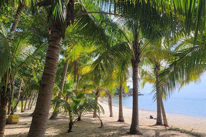 Exploring Cham Islands Day Tour by Speed Boat - What To Bring