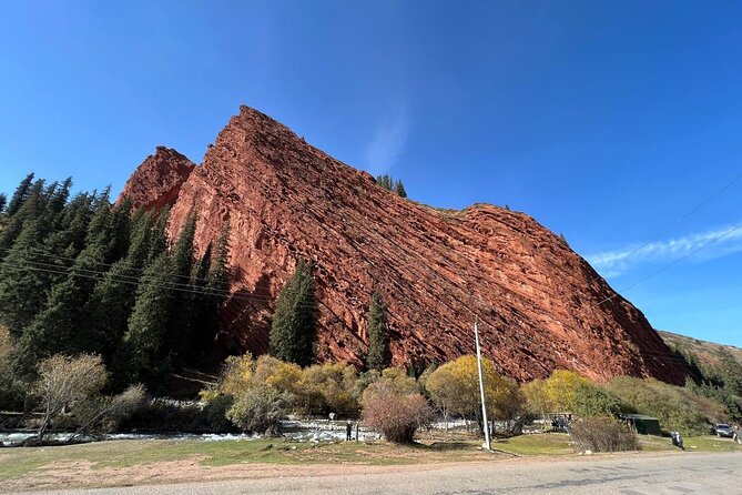 Exploring Kyrgyzstan in 9 Days From Bishkek - Meals and Dining Experience