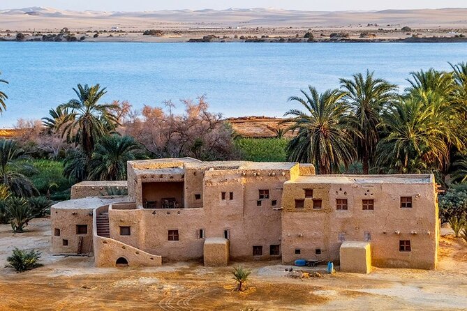 Exploring the Enchanting Siwa Oasis From Cairo - Booking Your Siwa Adventure