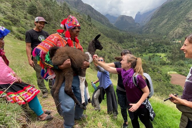 Family Trek With Llamas (Full Day) - Price and Guarantee