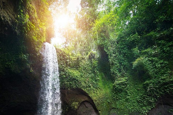 Famous Ubud Villlage & Dance With Rice Terrace & Waterfall Visit - Booking Details