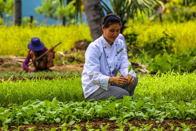 Farm Cooking Class in Siem Reap Countryside - Booking Details