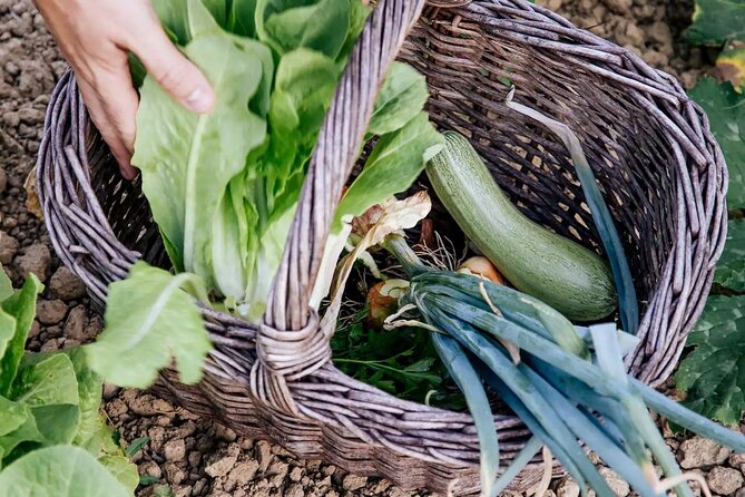 Farm to Table Experience on an Organic Hilltop Estate in Tuscany - Confirmation and Accessibility