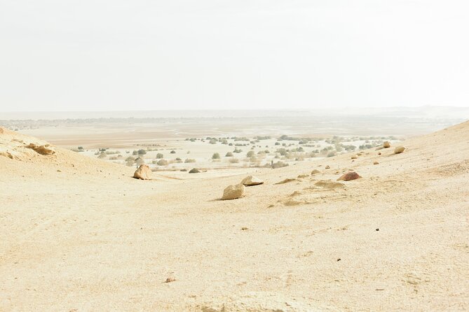 Fayoum Full Day Tour Bird Watching - Group Size and Pricing