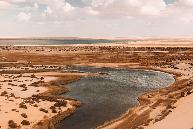 Fayoum Full Day Tour Bird Watching - Local Dining Experience