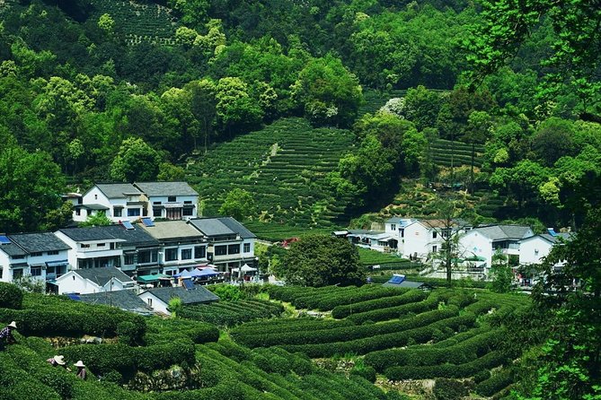Flexible Private Hangzhou Layover Tour - What To Expect and Criteria