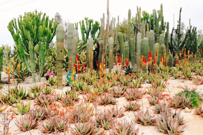 Flexible Xiamen Private Half Day Tour to Experience Xiamen Botanical Garden