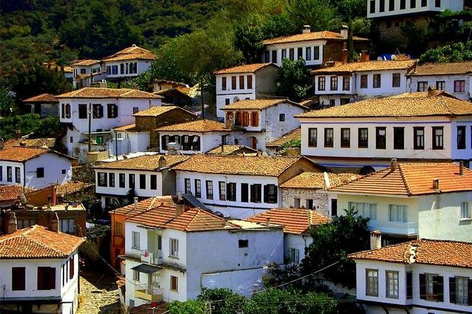 For Cruisers: Best of Ephesus & Shopping Tour - Souvenir Recommendations