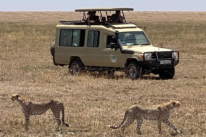 Four Day Lake Tour to Manyara and Serengeti and Ngorongoro Crater - Confirmation and Accessibility