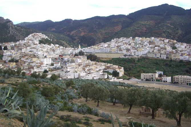 Four Days in Fez - Day Trips and Excursions Around Fez - Cultural Immersion: Artisan Workshops and Museums