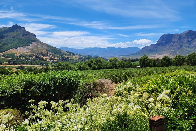 Franschhoek Wine Tram & Stellenbosch Town Full Day Tour - Additional Information