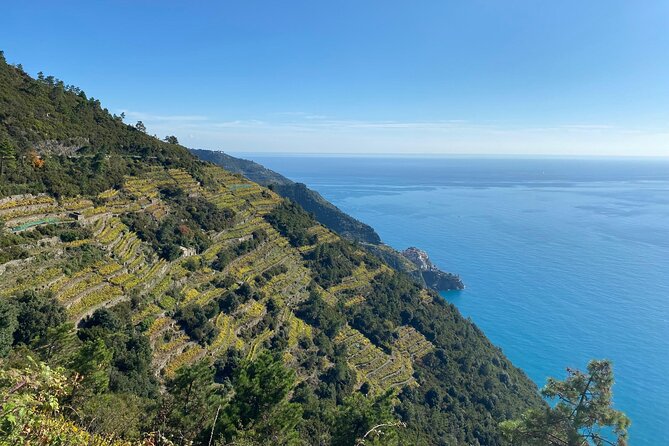 From FLORENCE: Guided Tour of Breathtaking Coast of Cinque Terre - Additional Info