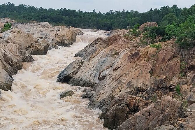 From Kolkata-All Inclusive Seranda Forest Elephant Corridor Tour - Private Tour Details