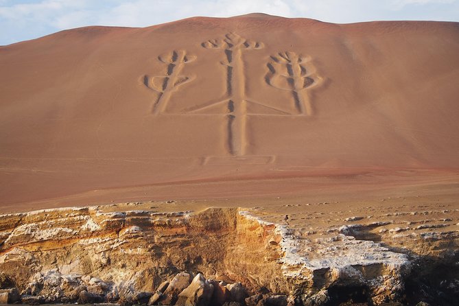 From Lima: Full Day Paracas by Bus - Pricing