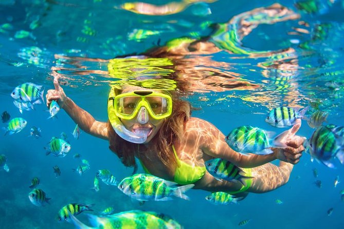 From Phuket Full Day Phi Phi Island Budget Snorkeling Tour - Frequently Asked Questions