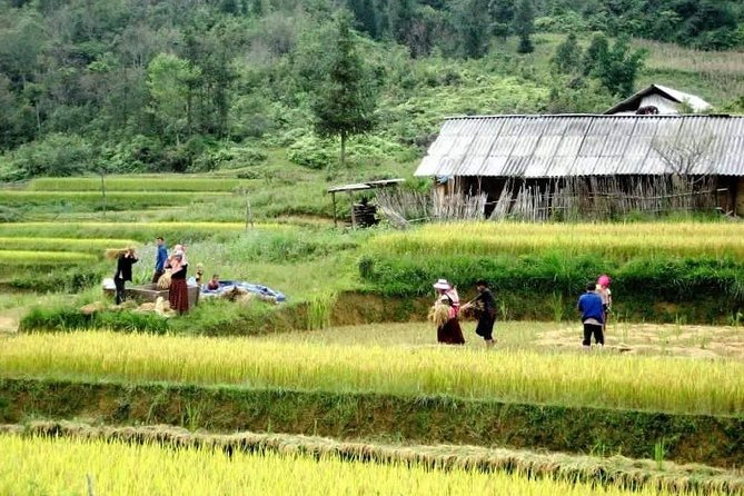 From Sapa: Trekking and Tribal Villages Tour - Additional Information