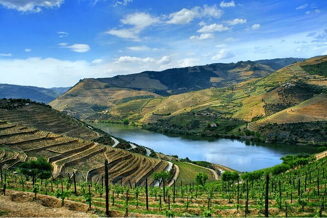 From Vine to Wine: A Harvest Adventure in Douro Valley - Directions and Itinerary