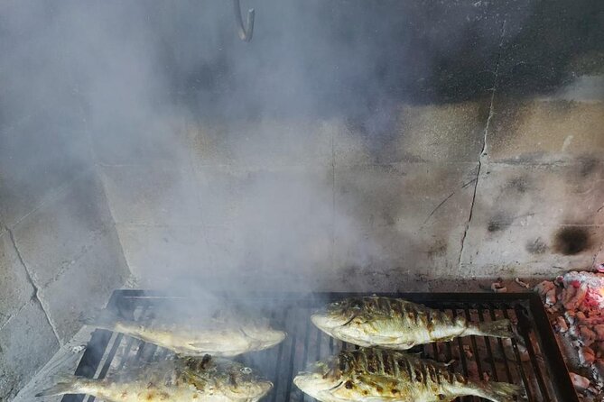 From Zadar-Hosted Lunch With Best Oil Connoisseur Must Do - Transportation and Duration