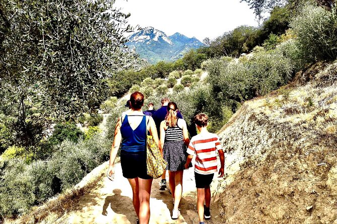 Full Day Citrus Farm, Old Town, Botanic & Boat Tour in Menton - Additional Information