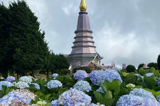 Full-Day Doi Inthanon National Park Tour With Trek and Pagodas - Trekking Experience