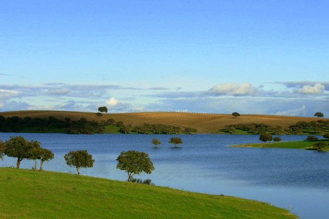 Full Day Excursion to Moura and Alqueva Dam With Boat Cruise - Operator Information