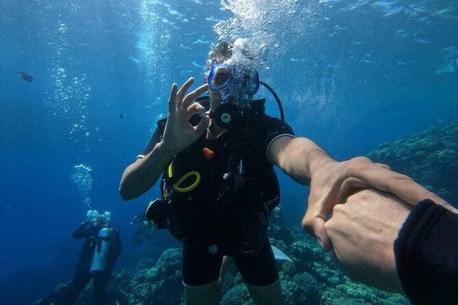 Full Day Experience in Marsa Mubarak With Diving and Lunch - Booking Confirmation Details