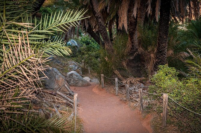 Full-Day Guided Tour to Preveli Tropical Beach and Palm Forest - Tour Guidelines