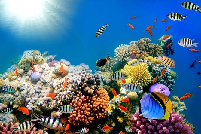 Full-Day Hurghada Boat Trip: Snorkeling and Lunch Included - Booking Process