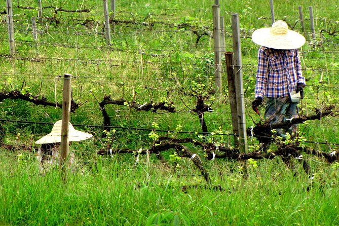 Full Day Inle Lake Trekking - Price and Inclusions