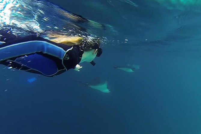 Full Day Kicker Rock - Weather Policy