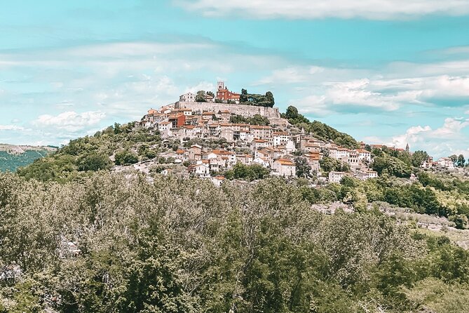 Full-Day Motovun Truffle Hunt With Lunch and Liqueur Tasting - Tour Highlights