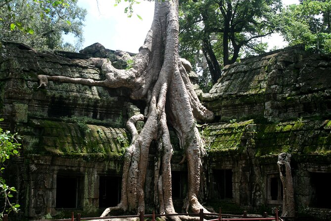 Full-Day Photo Tour Angkor Wat From Siem Reap - Pricing and Booking