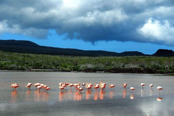 Full Day Plazas & Carrion Point - Directions