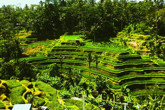 Full-Day Private and Guided Tour Around Ubud - Essential Information