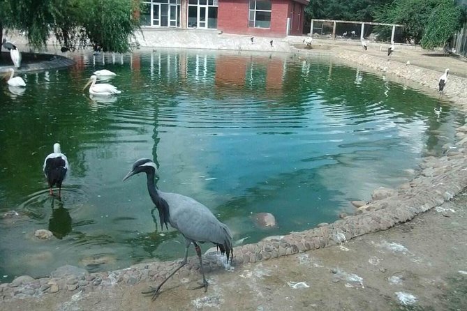 Full Day Private Changchun City Tour With Spring Pancake Meal - Tips for a Memorable Experience