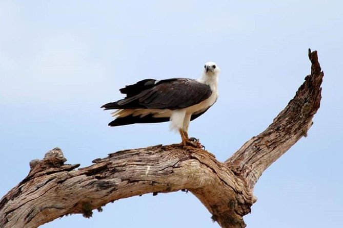 Full Day Private Safari at Yala National Park by Yala La Safari Tours - Reservation and Cancellation