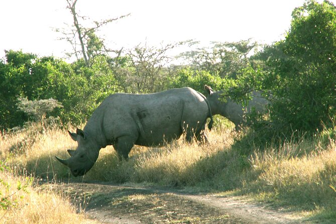 Full-Day Private Serengeti National Park Safari With Breakfast - Pickup Details