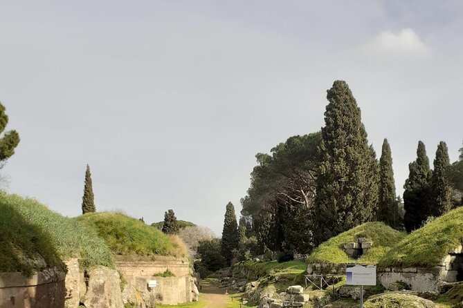 Full-Day Private Tour in Etruscan City of Cerveteri - Meeting and Pickup