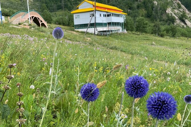 Full Day Private Tour in Terelj National Park With Horse Riding - Booking Information and Price
