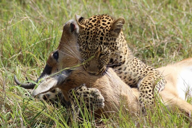 Full-Day Private Tour Nairobi National Park and Giraffe Center - Booking and Cancellation Policy