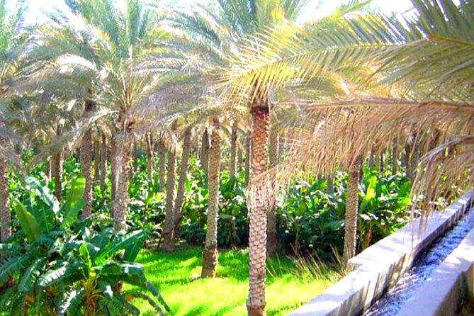 Full-Day Private Tour of Nizwa From Muscat - Participants