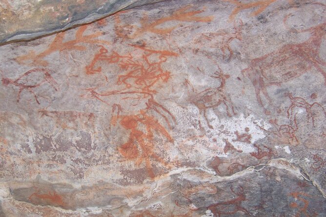 Full-Day Private Tour to Bhojpur and Bhimbetka Caves From Bhopal With Lunch - What To Expect