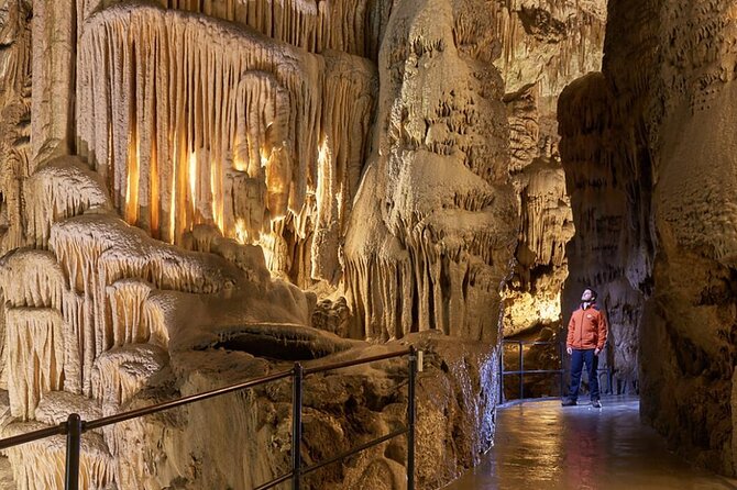 Full-Day Private Tour to Lake Bled, Postojna Cave and Lipica - Pricing Details