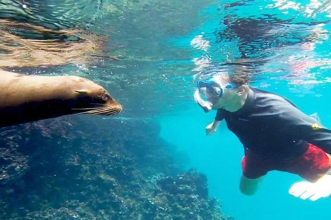 Full Day Santa Fe and Playa Escondida With Snorkeling and Lunch Included - Itinerary Highlights