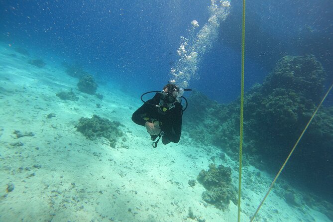 Full Day Scupa Diving and Snorkeling Sea Trip Activity - Hurghada - How to Confirm and Reserve