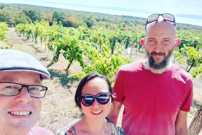 Full-Day Small Group Lake Balaton Wine Tour - Accessibility Features